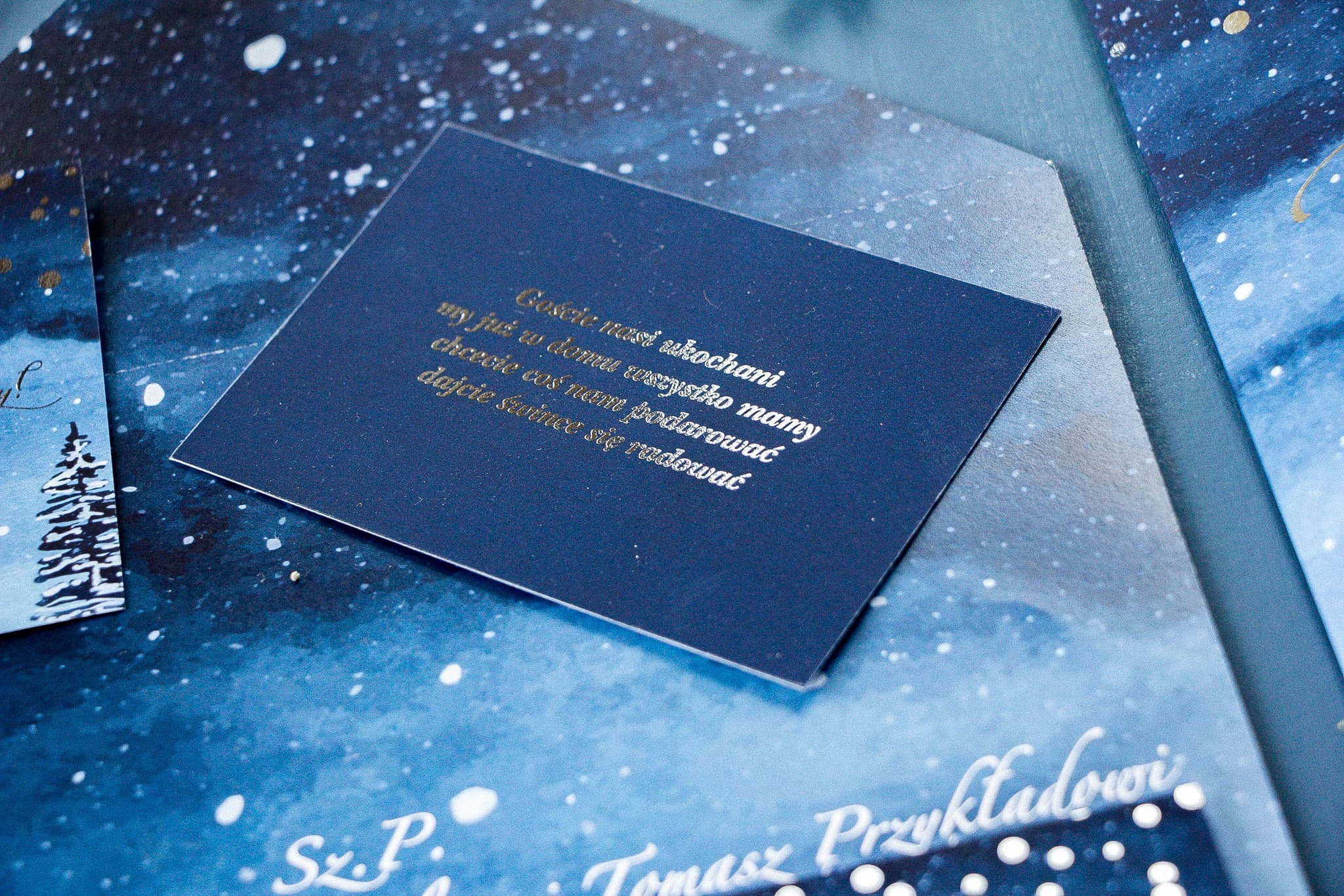 Srebrzony bilecik do zaproszeń glamour, wkładka z prośbą o pieniądze | Bileciki ślubne | Pastelowe nr 6