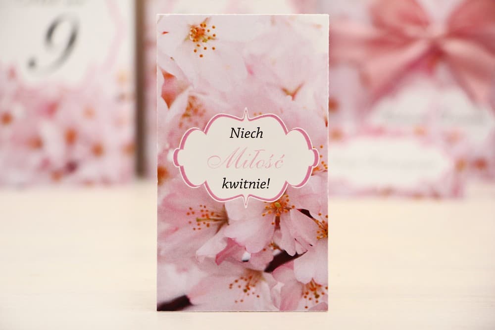 Nasionka Niezapominajki w Torebce z Kwiatem Wiśni, Eko Upominek | Oryginalne Podziękowania dla Gości Weselnych | Felicja nr 13