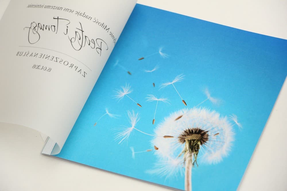 Zaproszenia ślubne z kalką i motywem dmuchawca przewiązane tasiemką Elegant nr 20