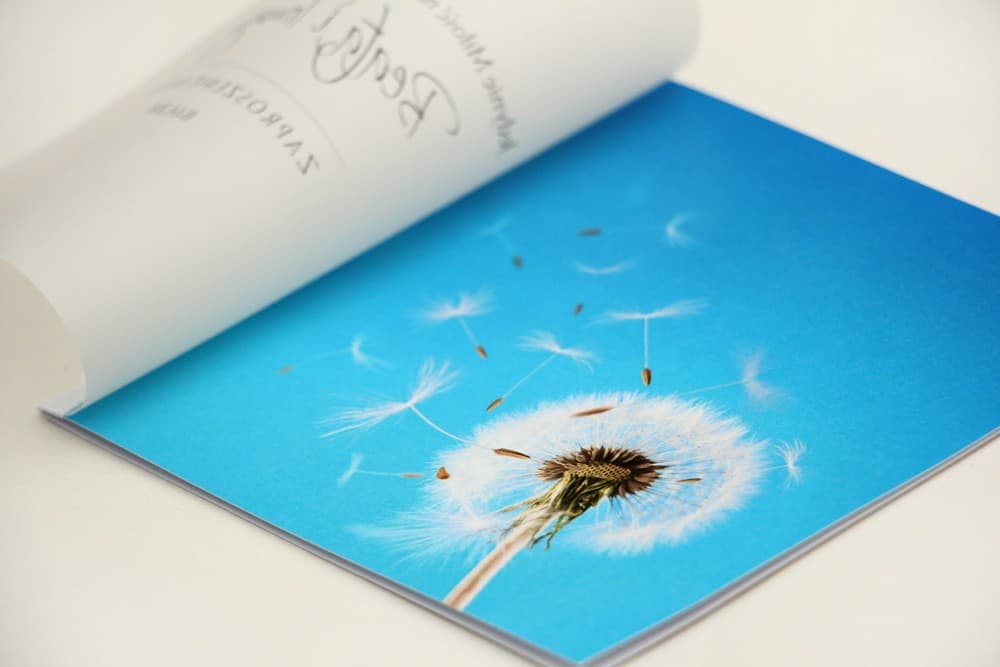 Zaproszenia ślubne z kalką i motywem dmuchawca przewiązane tasiemką Elegant nr 20 - 3