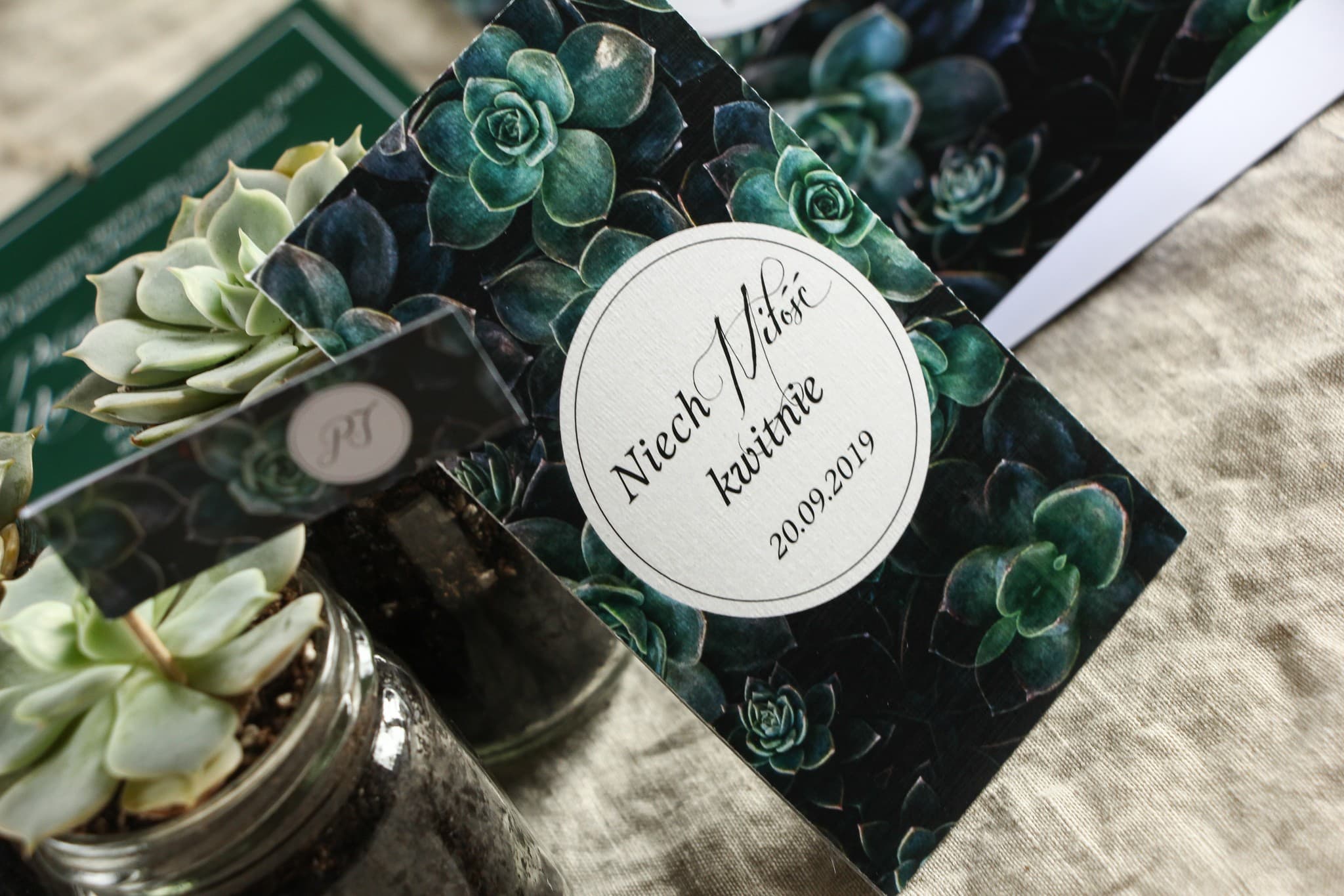 Nasiona Niezapominajki Eko Upominek | Podziękowania dla Gości Weselnych z Sukulentami | Botanik nr 3